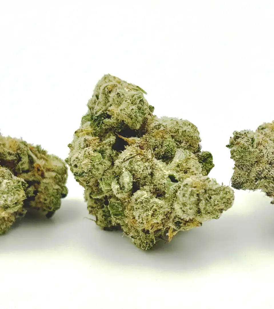 Blue Dream THCa