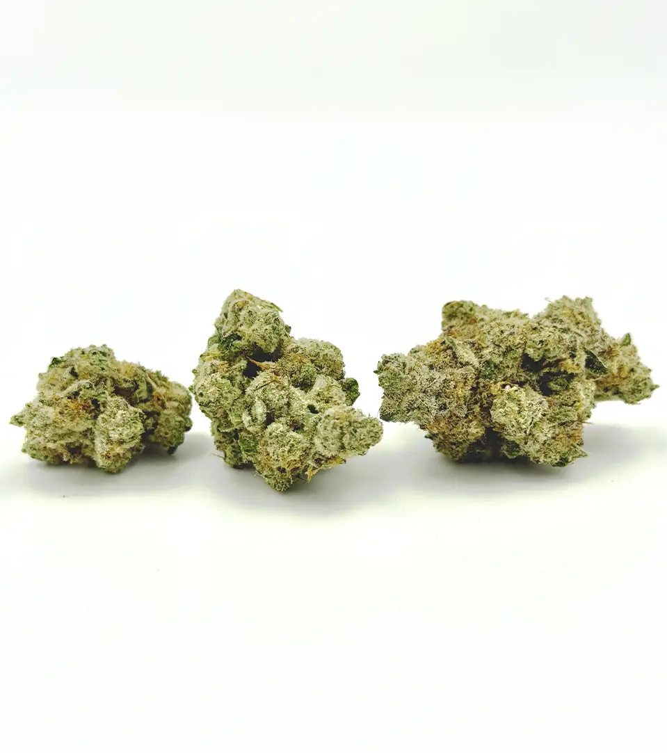 Blue Dream THCa