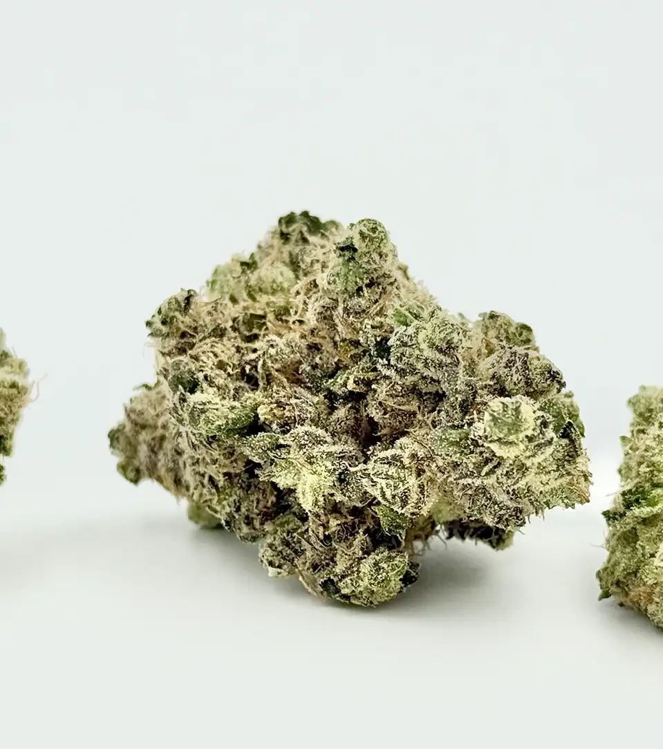 Blue Dream THCa