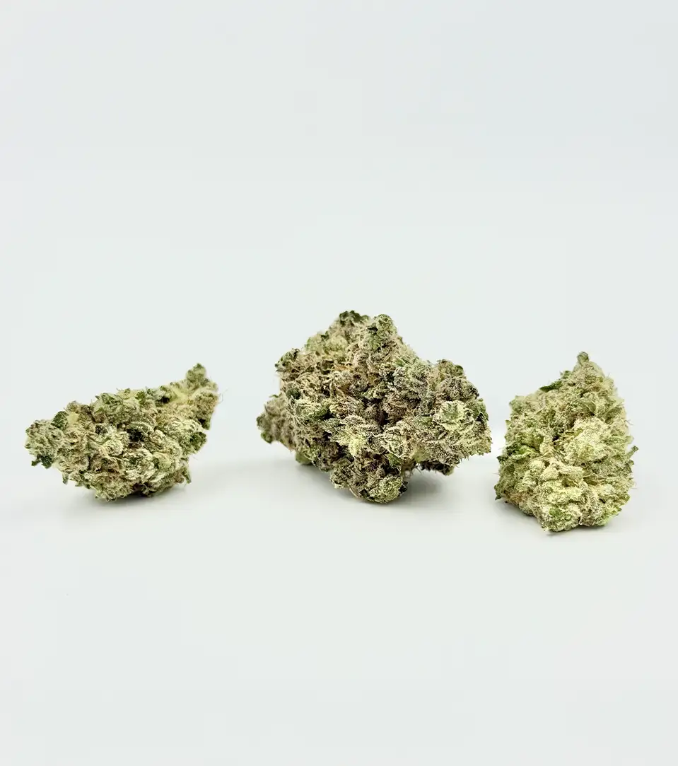 Blue Dream THCa