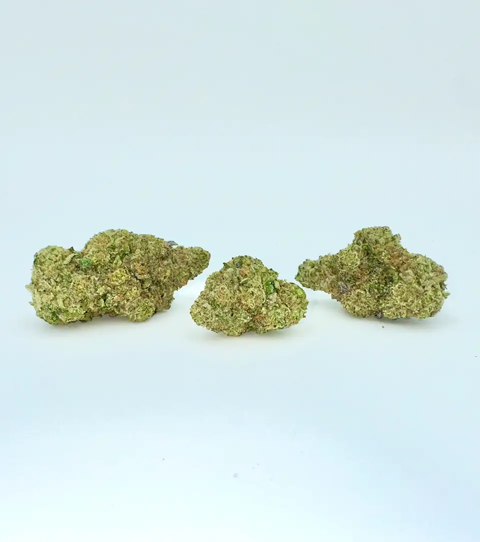 Blue Dream THCa